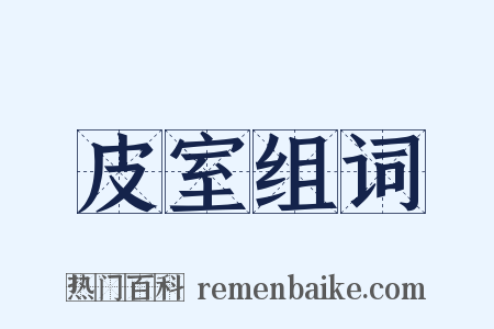 皮室组词是什么意思的图片